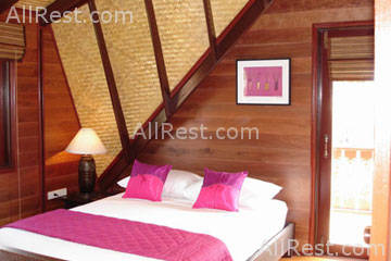 Coconut Paradise 29